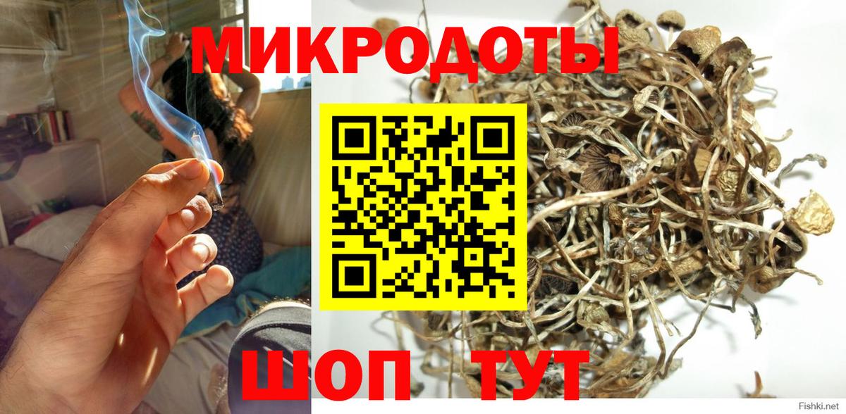 Галлюциногенные грибы Cubensis Туймазы