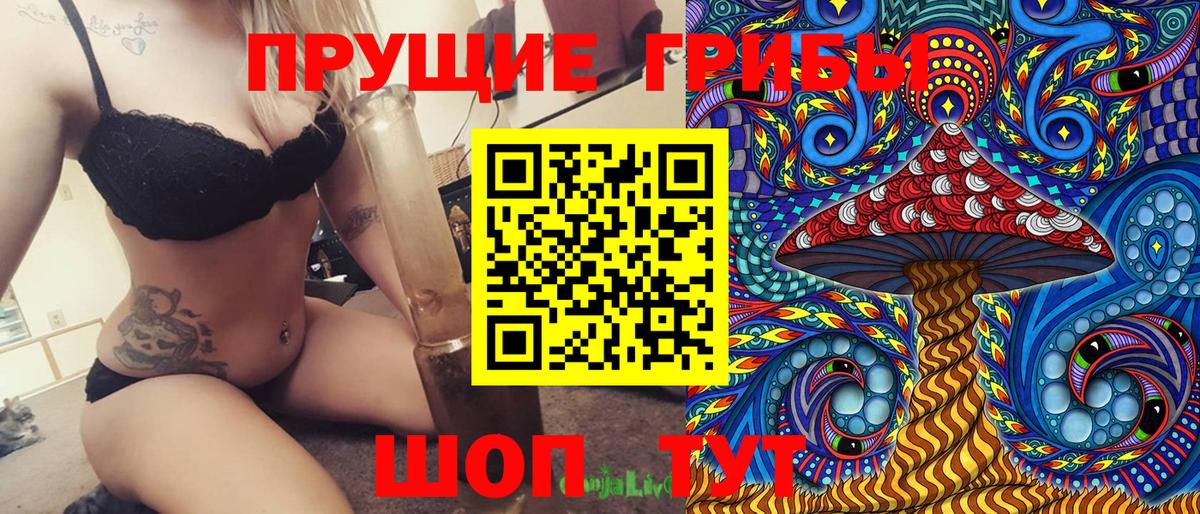 Псилоцибиновые грибы Psilocybe  Вход с VPN  Туймазы 